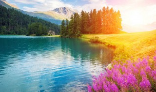 修辞手法的句子大全（各种修辞手法的句子大全）