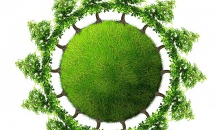 关于环保的建议书 关于环保的建议书作文