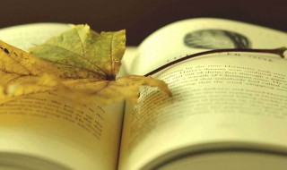 文心雕龙名句（文心雕龙名句解释）