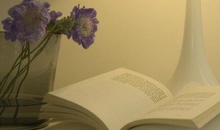 老大徒伤悲的上一句是什么 老大徒伤悲的上一句是什么谁写的