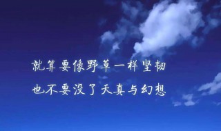 信任的句子经典（形容信任的句子经典）