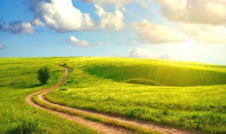乡间小路的唯美句子（雨后乡间小路的唯美句子）