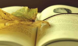 关于廉洁的优美句子（关于廉洁的优美句子小学生）