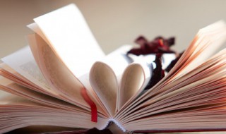 描写人外貌的优美段落（描写人外貌的优美段落女生）