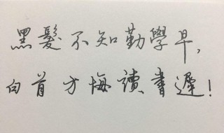 黑发不知勤学早的下一句是什么 黑发不知勤学早的全诗