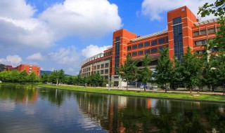 校园风景美的简短句子 校园风景美的简短句子文案