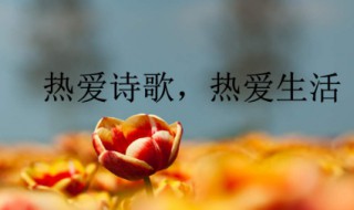 名人名言短句大全摘抄 关于阅读的名人名言短句大全摘抄