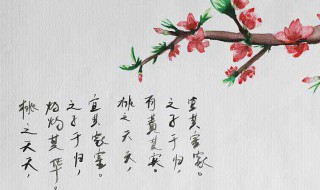 之子于归宜其室家是甚么意思（之子于归宜其室家出自诗经）