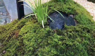 园艺专业的就业前景怎么样