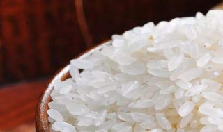 浪费粮食的名言警句 不能浪费粮食的名言警句