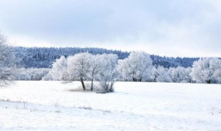 描写雪景的片段（白描手法描写雪景的片段）