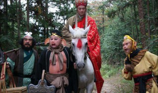 西游记的优美句子（西游记的优美句子摘抄）