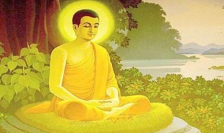 释迦牟尼说过的一句话（一直相信释迦牟尼说过的一句话）