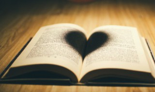 舞姿优美的句子 怎么形容舞姿优美的句子