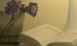 描写嘴巴的优美句子 描写嘴巴的优美句子男生