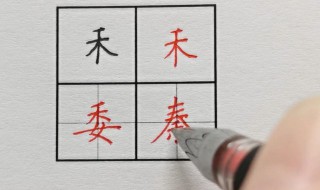 禾字旁的字有哪些字（禾字旁的字有哪些字一年级）