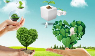 环境保护宣传标语（环境保护宣传的内容）