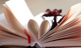 顾漫经典语录语句（顾漫的经典语录）