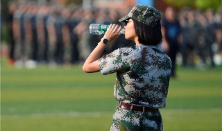 关于军训的感悟（关于军训的感悟500字）