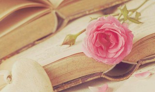 态度决定高度经典语句 态度决定高度经典语句图片