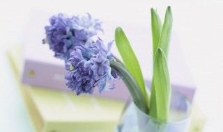 曾国藩励志名言录 曾国藩励志语录经典短句