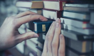 什么是重心（什么是重心数学）