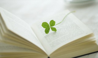 讲文明名言警句 讲文明名言警句简短