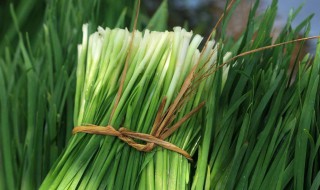 “割韭菜”有什么含义（割韭菜有什么特殊含义）