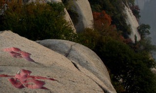 中国的五岳名山中西岳指的是哪个山 中国哪五岳山中,西岳指的哪个山