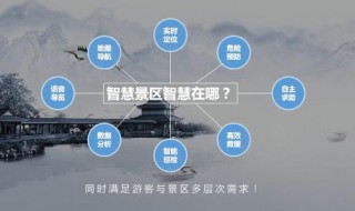 智慧晶怎么玩 智慧晶是干什么用的