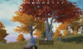 和平精英荡秋千在哪里 和平精英中荡秋千在哪