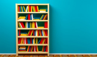 surf是什么意思 surfer是什么意思