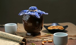 人生得意须纵欢意思是 人生得意须纵欢意思是什么