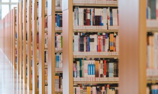 炜疾忌医典故的君王是谁（炜疾忌医典故中的君王是）