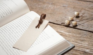 东山再起的典故是指的谁 东山再起典故的来历是什么