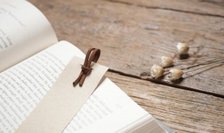 吃糍粑蘸墨是谁的典故 蘸墨汁吃粽子的典故