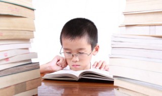 杨字的右边的字怎么读 杨字右边那个怎么读