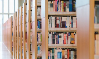 调羹怎么读（调羹怎么读音组词）