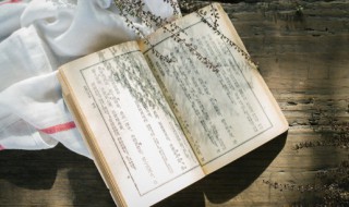 马的旁边是骡子是谁的典故（马的旁边是骡子是谁的典故呢）