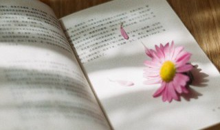 刘秀的典故是谁（刘秀历史典故）