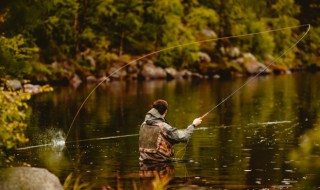 沧江钓鱼是谁的典故（沧浪学钓的典故）