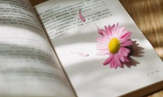 十根筷子掰不断是谁的典故（折断筷子的典故）