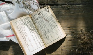 一字之师的典故是谁 一字之师的典故是谁写的