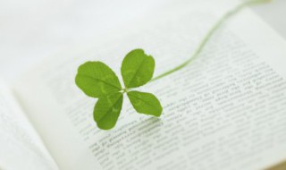 骊山是关于谁的典故（骊山是关于谁的典故之一）