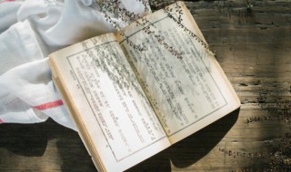 图穷匕见的典故的主人公是谁（图穷匕见的典故及含义）