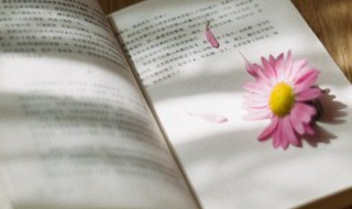 不辞冰雪是谁的典故 不辞冰雪的意思