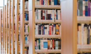 豆腐丸是谁发明的典故 相传谁发明了豆腐