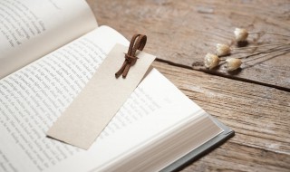 烂柯典故的主人公是晋人谁 烂柯人原文