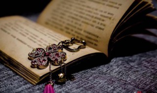 清心自盲是谁的典故（清心自盲是谁的典故出处）