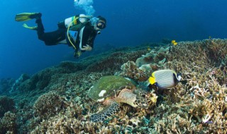 潜水证怎么考多少钱（潜水证怎么考多少钱重庆）